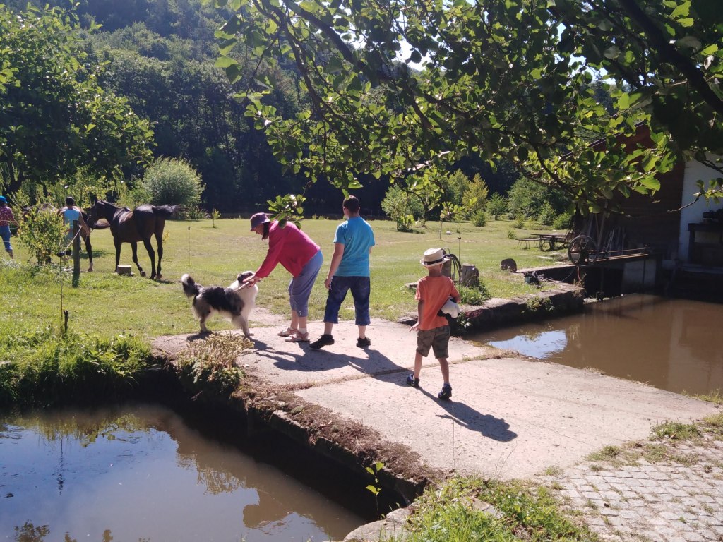 Výlet Štěpánov nad Svratkou 12