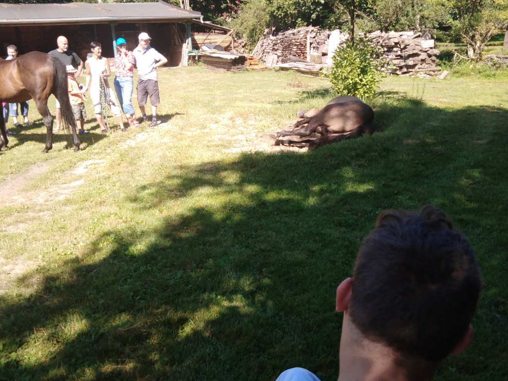 Výlet Štěpánov nad Svratkou 4