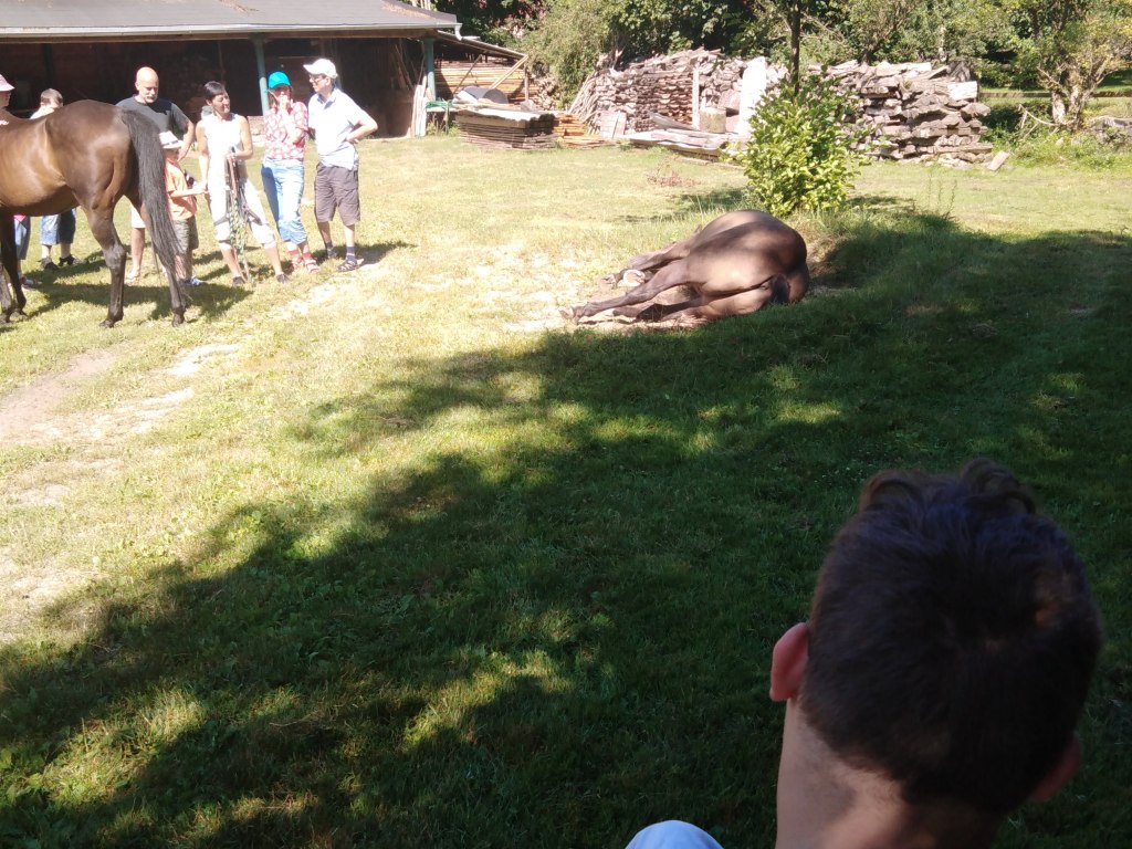Výlet Štěpánov nad Svratkou 5