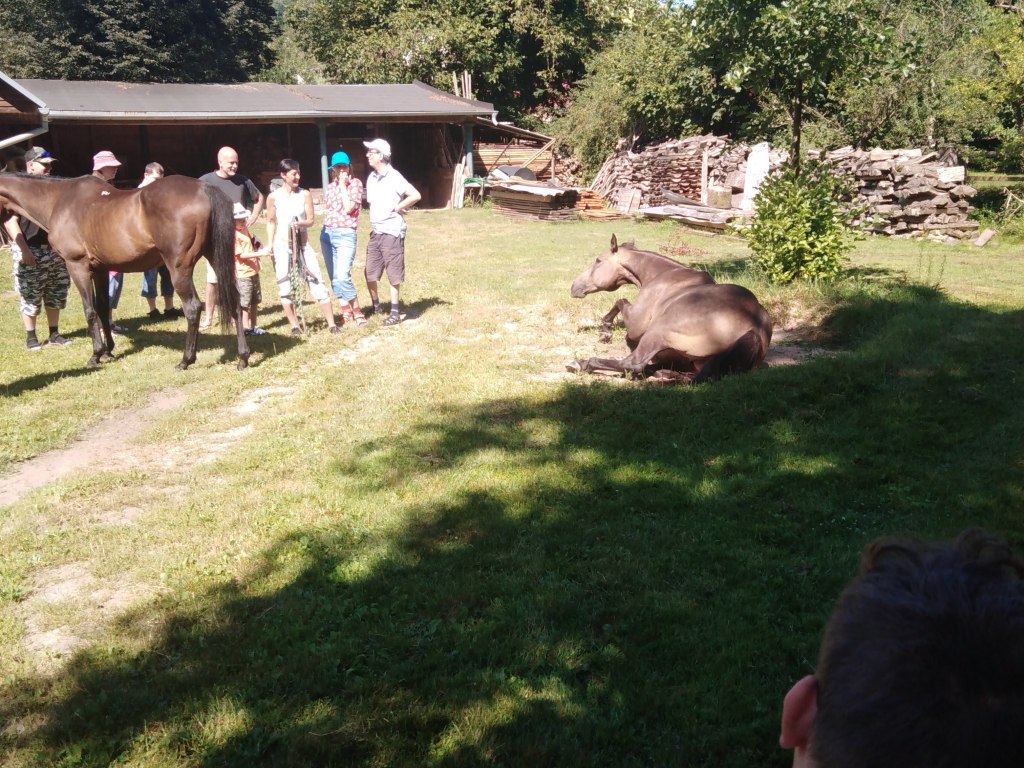 Výlet Štěpánov nad Svratkou 6