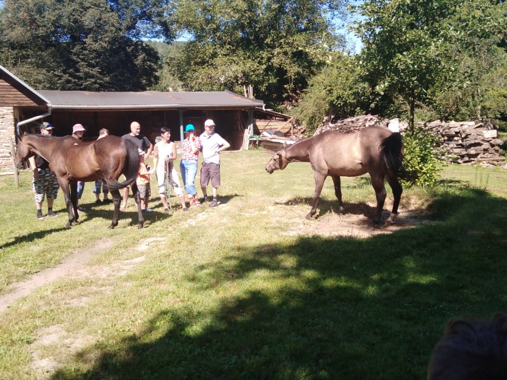 Výlet Štěpánov nad Svratkou 7