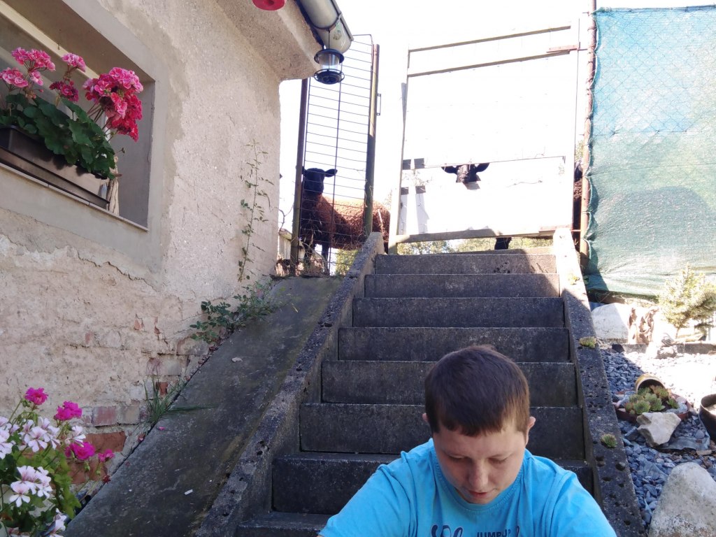Výlet Štěpánov nad Svratkou 14