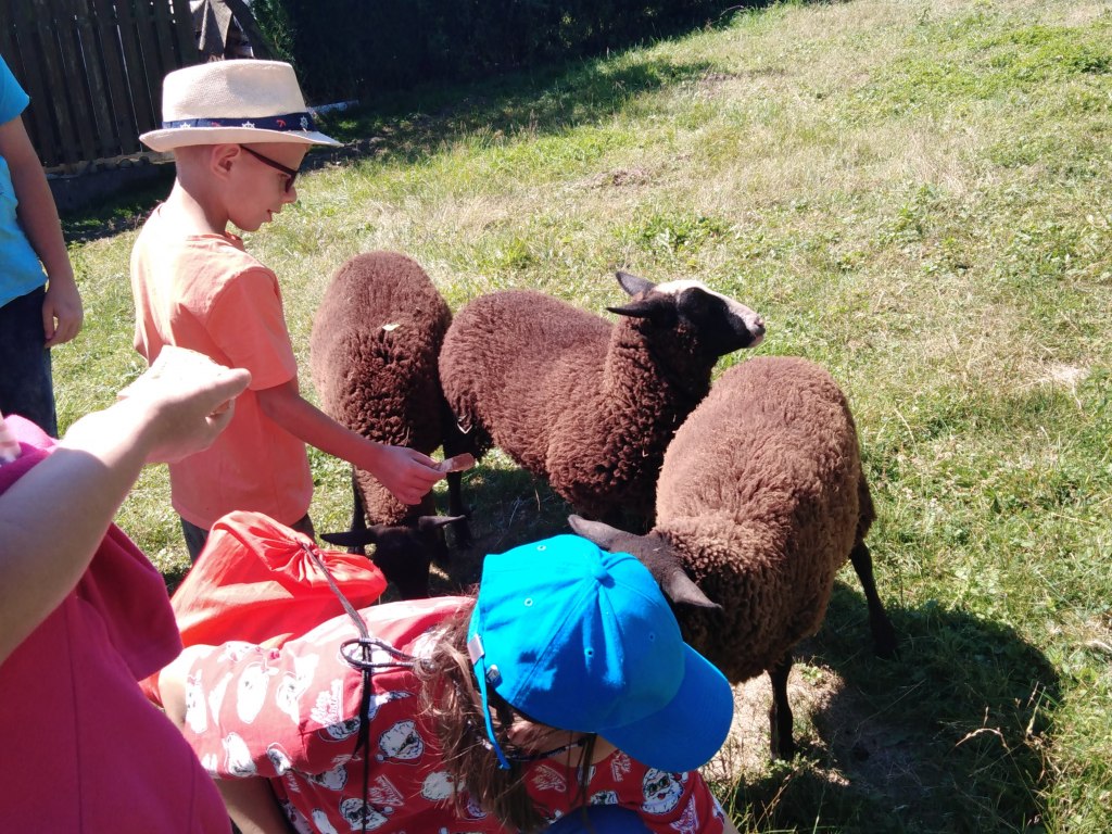 Výlet Štěpánov nad Svratkou 3