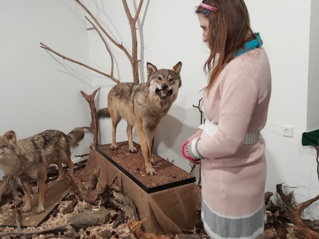 Soužití s našimi šelmami, výstava Tvrz 4